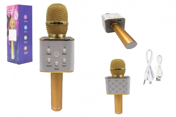  Mikrofon karaoke kov 25cm nabjen pes USB